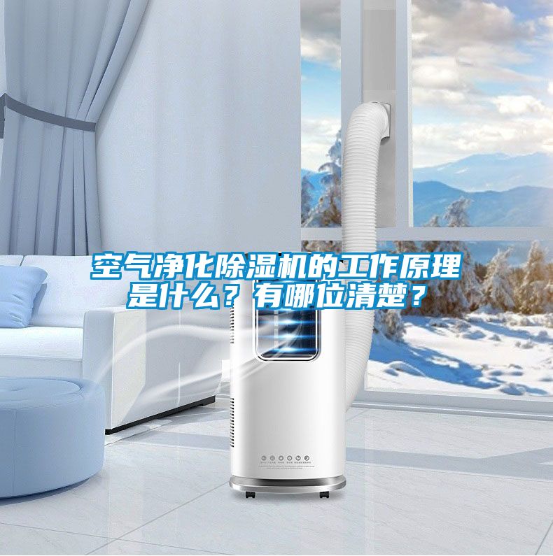 空氣凈化除濕機(jī)的工作原理是什么？有哪位清楚？