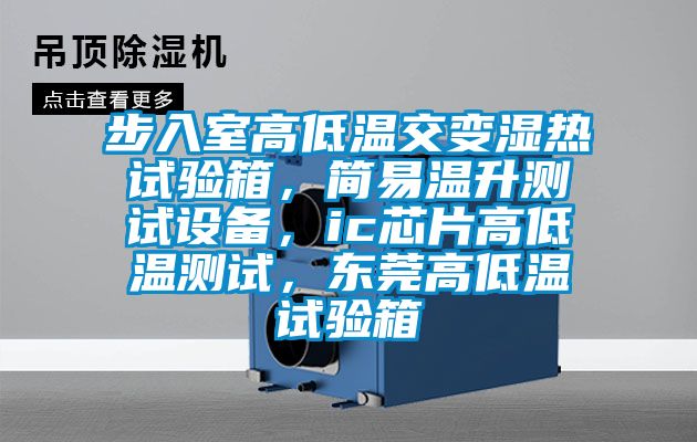 步入室高低溫交變濕熱試驗箱，簡易溫升測試設備，ic芯片高低溫測試，東莞高低溫試驗箱