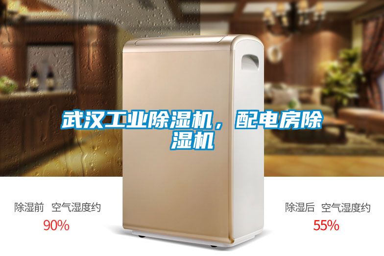 武漢工業(yè)除濕機，配電房除濕機