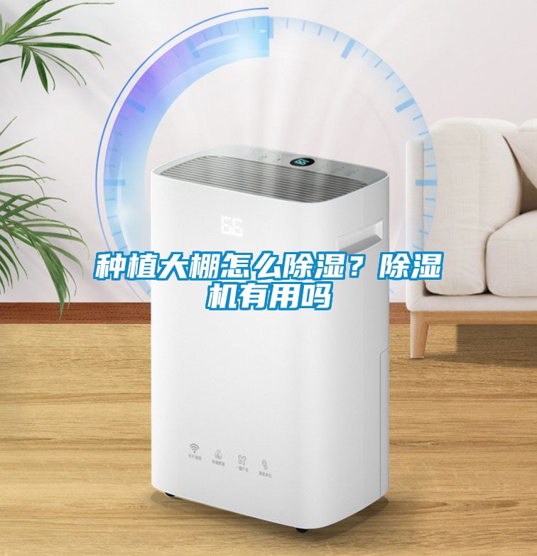 種植大棚怎么除濕？除濕機(jī)有用嗎