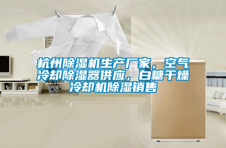 杭州除濕機生產(chǎn)廠家，空氣冷卻除濕器供應(yīng)，白糖干燥冷卻機除濕銷售