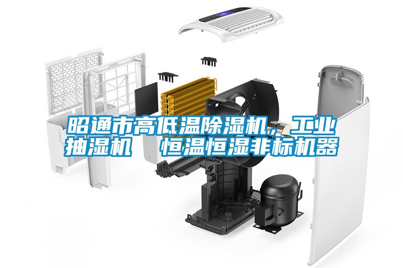昭通市高低溫除濕機(jī)，工業(yè)抽濕機(jī)  恒溫恒濕非標(biāo)機(jī)器