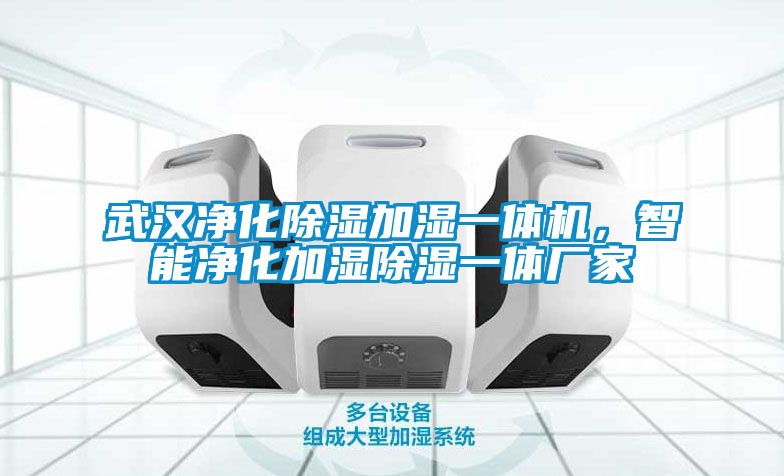 武漢凈化除濕加濕一體機(jī)，智能凈化加濕除濕一體廠家