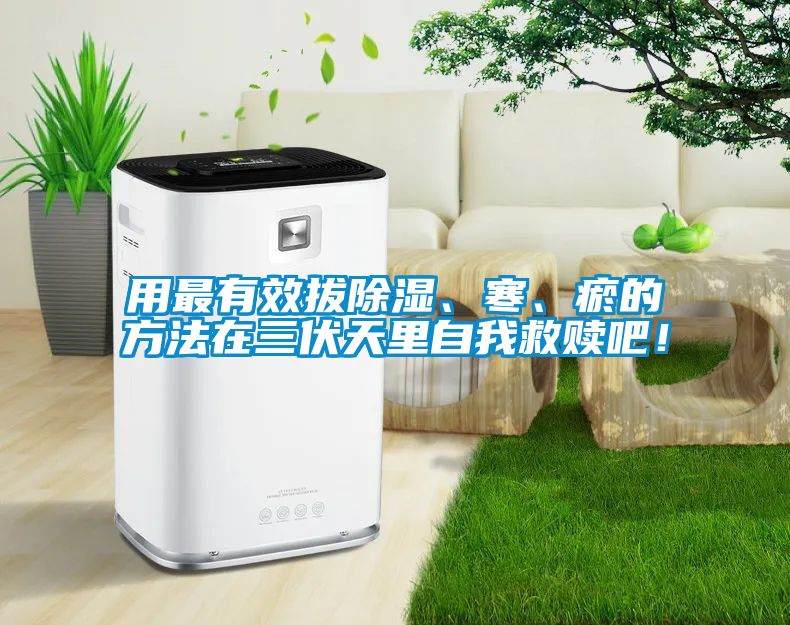 用最有效拔除濕、寒、瘀的方法在三伏天里自我救贖吧！