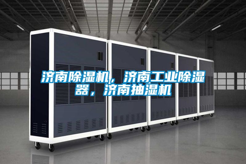 濟南除濕機，濟南工業(yè)除濕器，濟南抽濕機