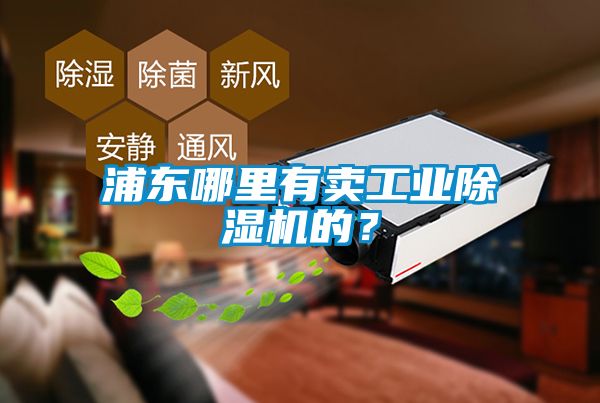 浦東哪里有賣工業(yè)除濕機(jī)的？