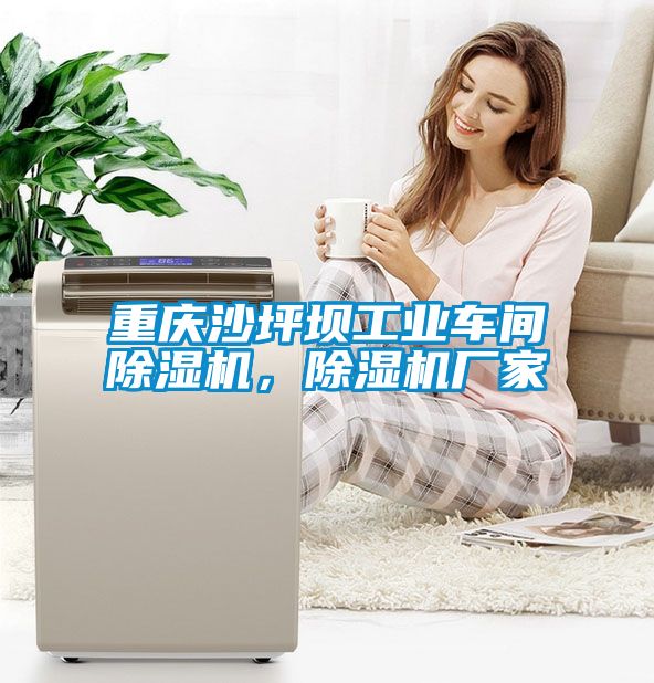 重慶沙坪壩工業(yè)車間除濕機，除濕機廠家