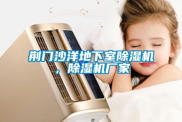 荊門沙洋地下室除濕機，除濕機廠家