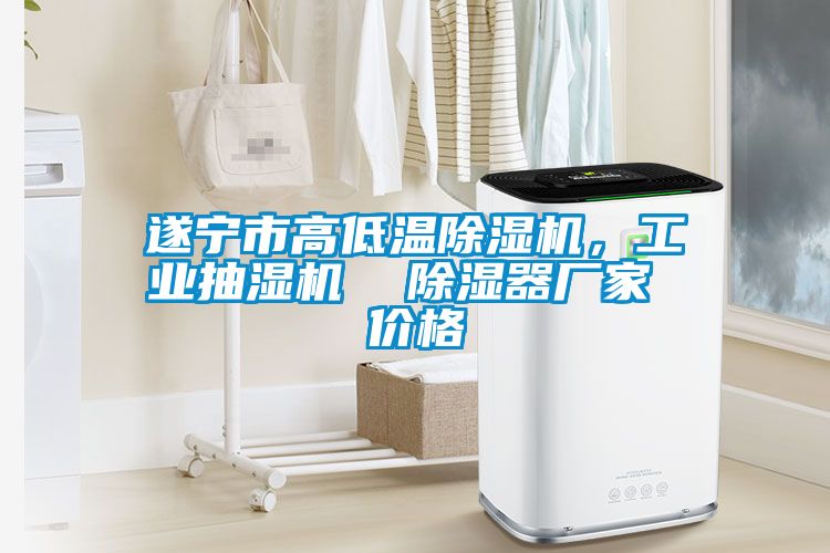 遂寧市高低溫除濕機(jī)，工業(yè)抽濕機(jī)  除濕器廠家 價(jià)格