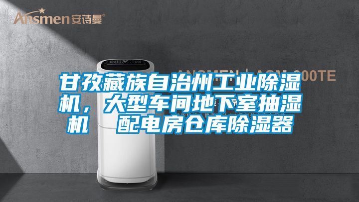 甘孜藏族自治州工業(yè)除濕機(jī)，大型車間地下室抽濕機(jī)  配電房倉庫除濕器