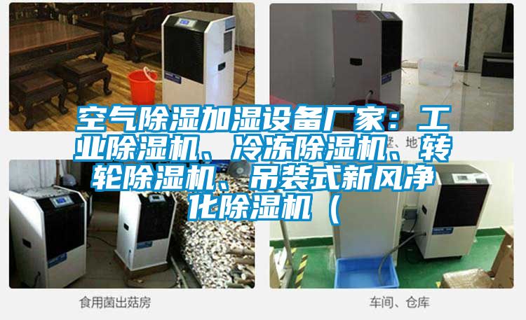 空氣除濕加濕設(shè)備廠家：工業(yè)除濕機(jī)、冷凍除濕機(jī)、轉(zhuǎn)輪除濕機(jī)、吊裝式新風(fēng)凈化除濕機(jī)（