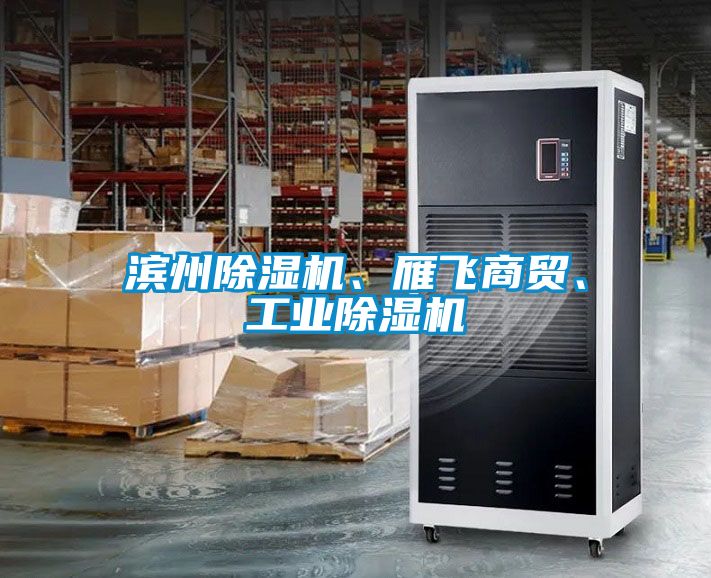 濱州除濕機(jī)、雁飛商貿(mào)、工業(yè)除濕機(jī)