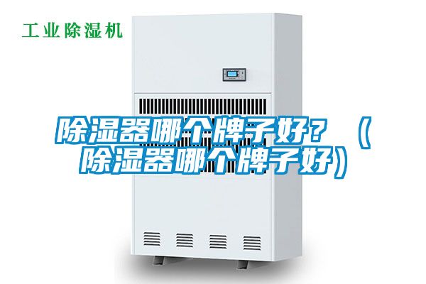 除濕器哪個牌子好？（除濕器哪個牌子好）