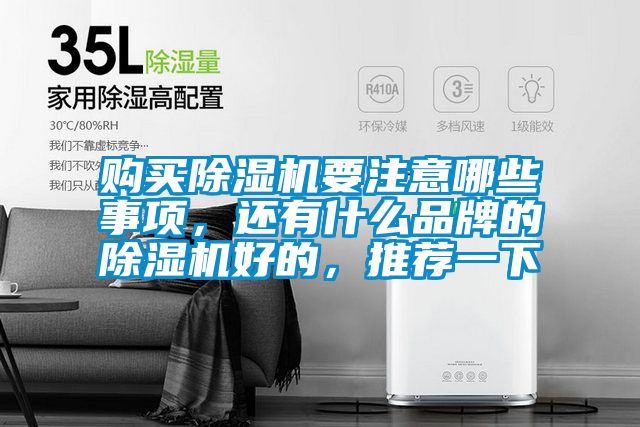購買除濕機要注意哪些事項，還有什么品牌的除濕機好的，推薦一下