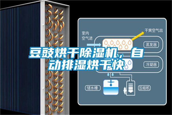 豆豉烘干除濕機(jī)，自動(dòng)排濕烘干快