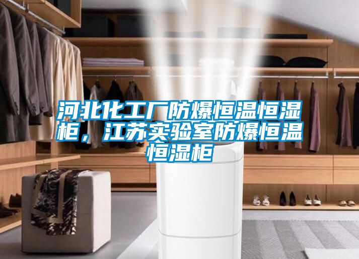 河北化工廠防爆恒溫恒濕柜，江蘇實(shí)驗(yàn)室防爆恒溫恒濕柜