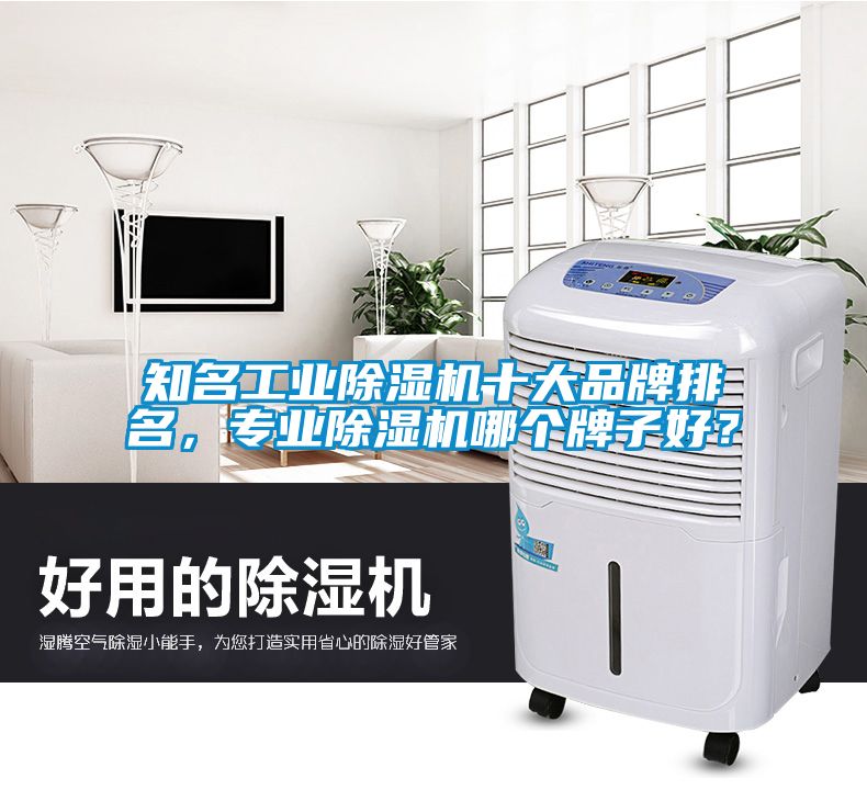 知名工業(yè)除濕機(jī)十大品牌排名，專業(yè)除濕機(jī)哪個牌子好？