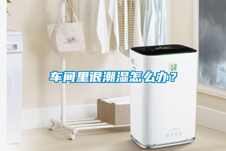 車間里很潮濕怎么辦？