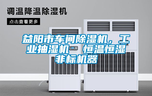益陽市車間除濕機(jī)，工業(yè)抽濕機(jī)  恒溫恒濕非標(biāo)機(jī)器