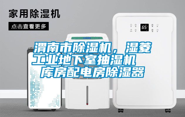 渭南市除濕機，濕菱工業(yè)地下室抽濕機  庫房配電房除濕器