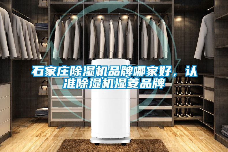 石家莊除濕機品牌哪家好，認(rèn)準(zhǔn)除濕機濕菱品牌
