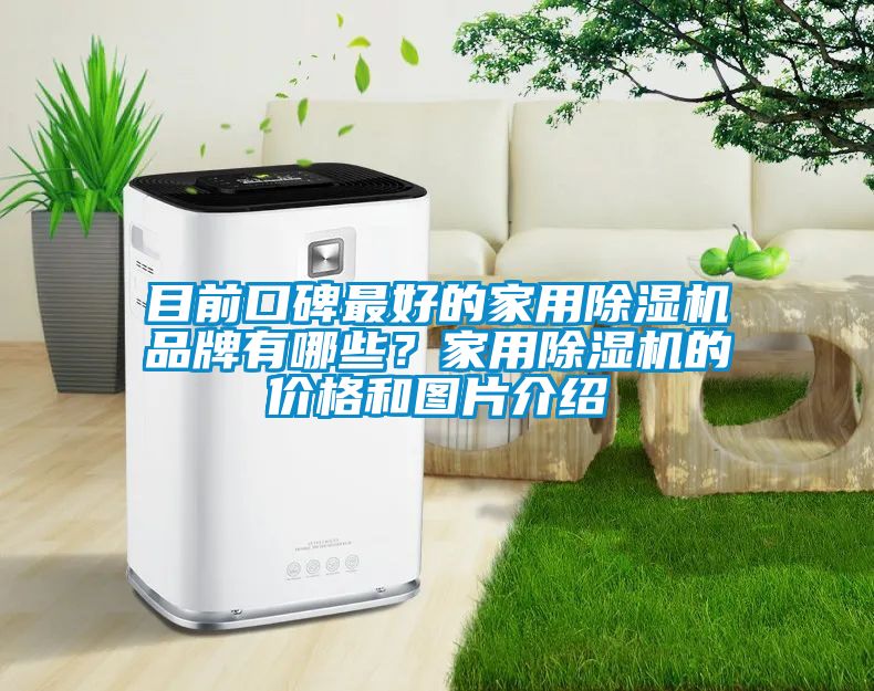 目前口碑最好的家用除濕機(jī)品牌有哪些？家用除濕機(jī)的價(jià)格和圖片介紹