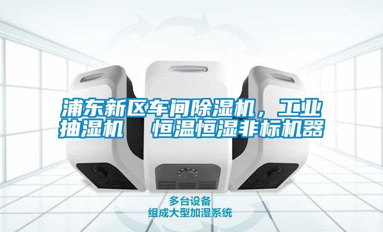 浦東新區(qū)車間除濕機(jī)，工業(yè)抽濕機(jī)  恒溫恒濕非標(biāo)機(jī)器
