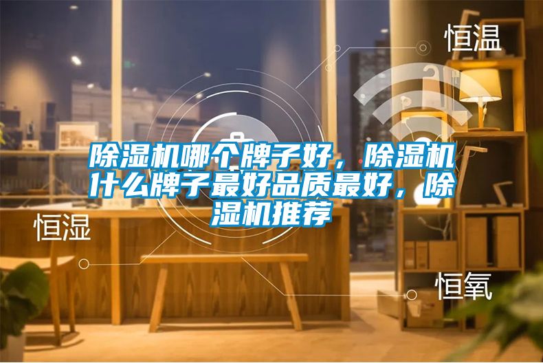 除濕機(jī)哪個(gè)牌子好，除濕機(jī)什么牌子最好品質(zhì)最好，除濕機(jī)推薦