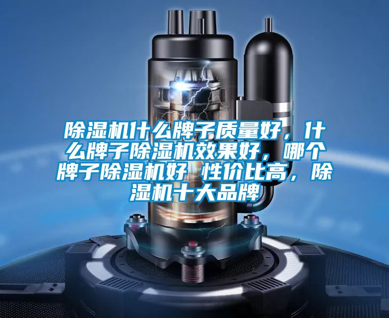除濕機(jī)什么牌子質(zhì)量好，什么牌子除濕機(jī)效果好，哪個(gè)牌子除濕機(jī)好 性價(jià)比高，除濕機(jī)十大品牌