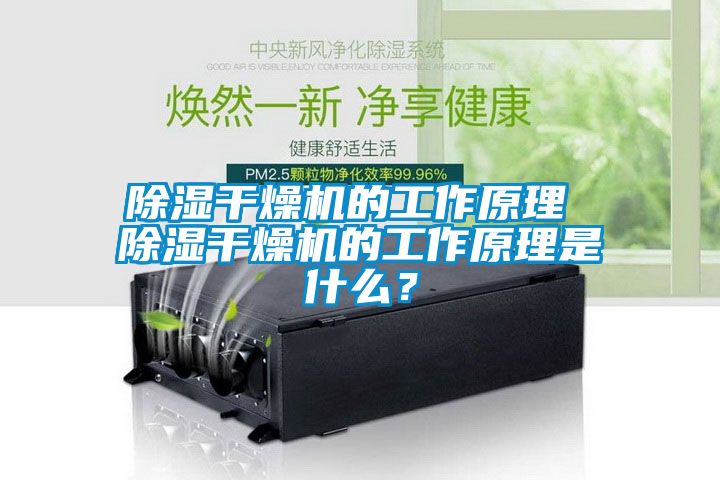 除濕干燥機(jī)的工作原理 除濕干燥機(jī)的工作原理是什么？