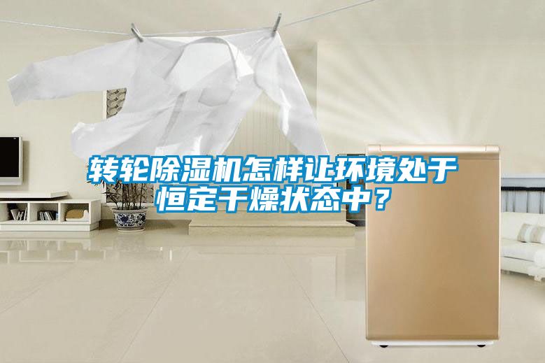 轉(zhuǎn)輪除濕機(jī)怎樣讓環(huán)境處于恒定干燥狀態(tài)中？