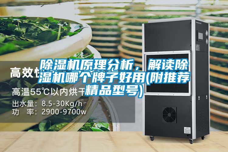 除濕機(jī)原理分析，解讀除濕機(jī)哪個(gè)牌子好用(附推薦精品型號(hào))