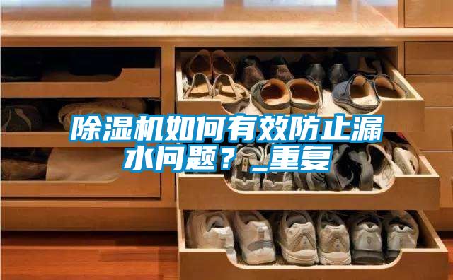 除濕機如何有效防止漏水問題？_重復(fù)