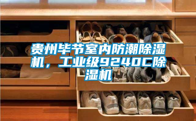 貴州畢節(jié)室內(nèi)防潮除濕機(jī)，工業(yè)級9240C除濕機(jī)