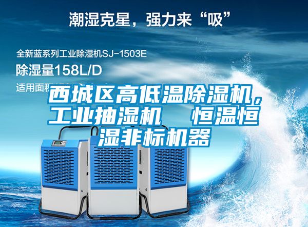 西城區(qū)高低溫除濕機(jī)，工業(yè)抽濕機(jī)  恒溫恒濕非標(biāo)機(jī)器