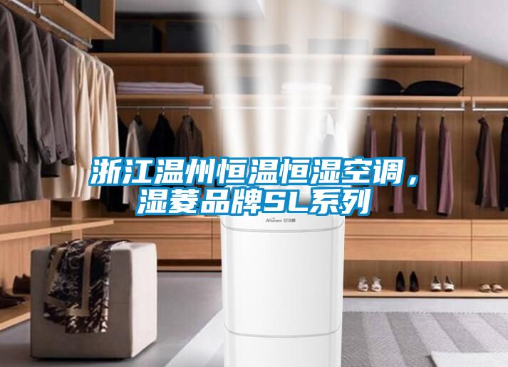 浙江溫州恒溫恒濕空調，濕菱品牌SL系列