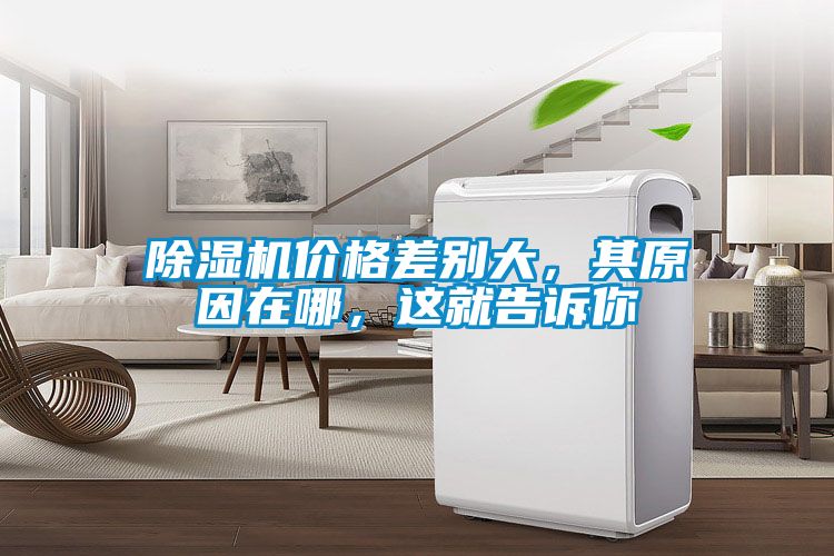 除濕機(jī)價(jià)格差別大，其原因在哪，這就告訴你