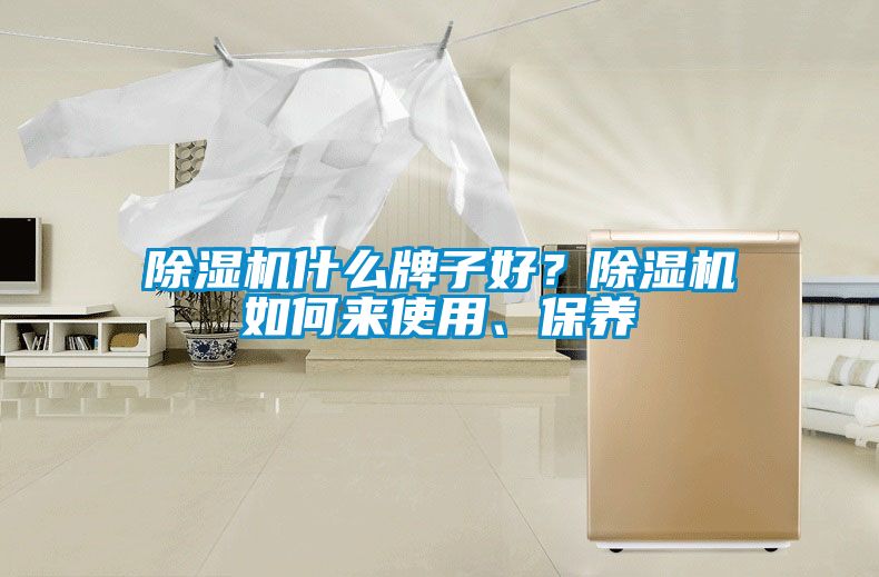 除濕機什么牌子好？除濕機如何來使用、保養(yǎng)