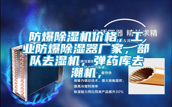 防爆除濕機(jī)價(jià)格，工業(yè)防爆除濕器廠家，部隊(duì)去濕機(jī)，彈藥庫(kù)去潮機(jī)，