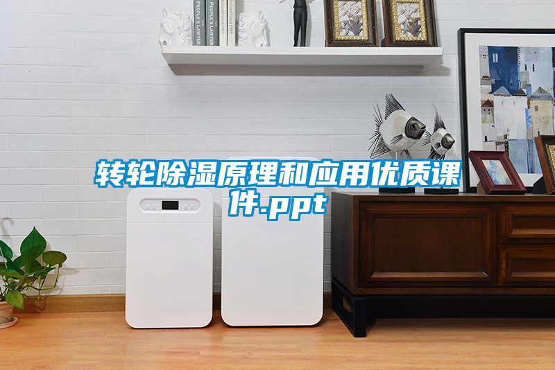 轉(zhuǎn)輪除濕原理和應用優(yōu)質(zhì)課件.ppt