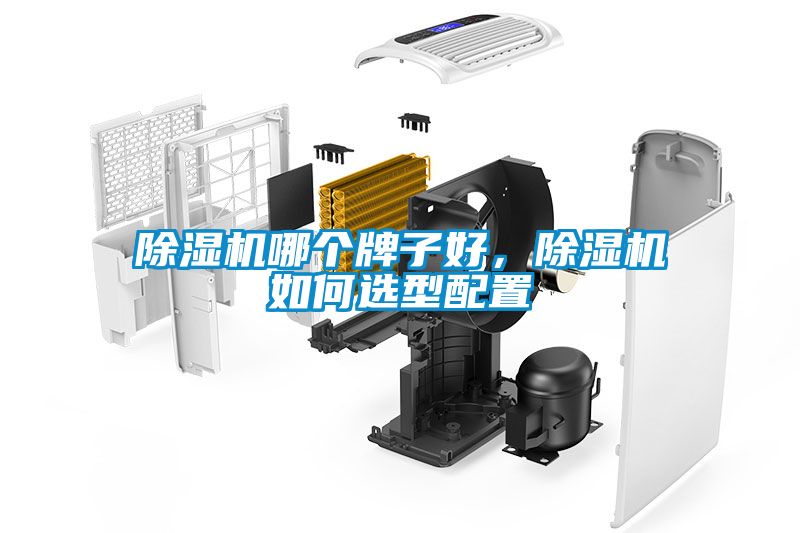 除濕機哪個牌子好，除濕機如何選型配置