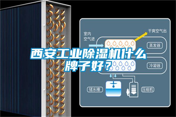 西安工業(yè)除濕機(jī)什么牌子好？