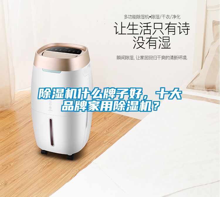 除濕機(jī)什么牌子好，十大品牌家用除濕機(jī)？