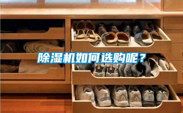 除濕機(jī)如何選購(gòu)呢？