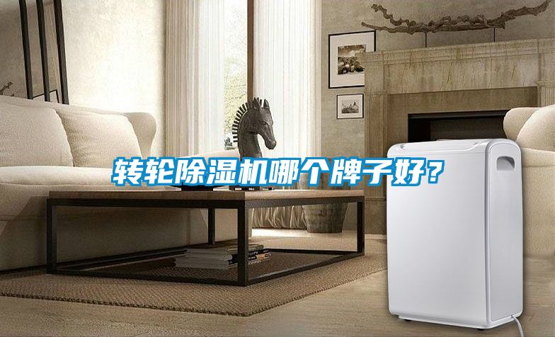 轉(zhuǎn)輪除濕機(jī)哪個牌子好？