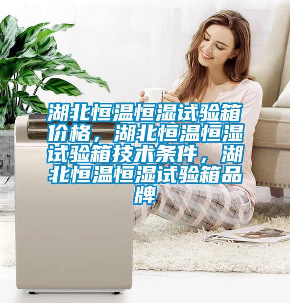 湖北恒溫恒濕試驗箱價格，湖北恒溫恒濕試驗箱技術(shù)條件，湖北恒溫恒濕試驗箱品牌