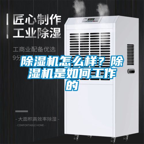 除濕機怎么樣？除濕機是如何工作的