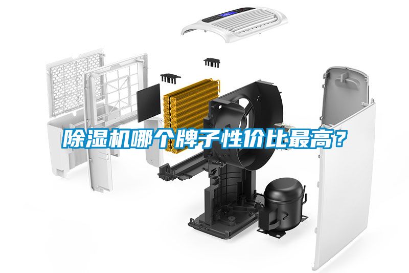 除濕機(jī)哪個牌子性價比最高？