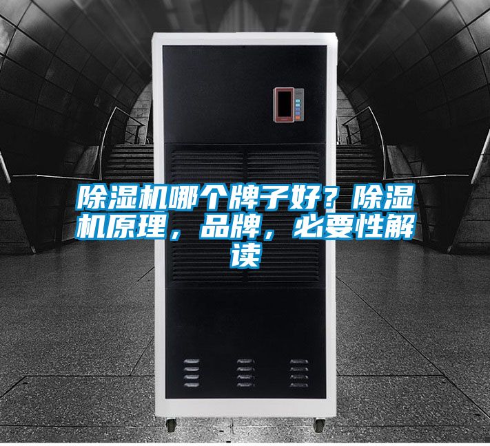 除濕機(jī)哪個(gè)牌子好？除濕機(jī)原理，品牌，必要性解讀