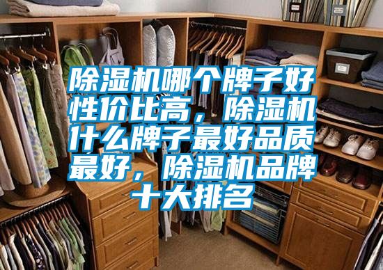 除濕機(jī)哪個牌子好性價比高，除濕機(jī)什么牌子最好品質(zhì)最好，除濕機(jī)品牌十大排名